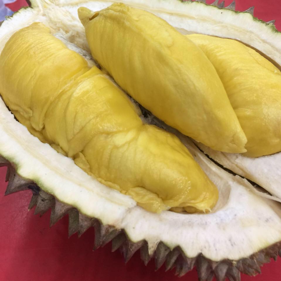 Durian d13 golden bun